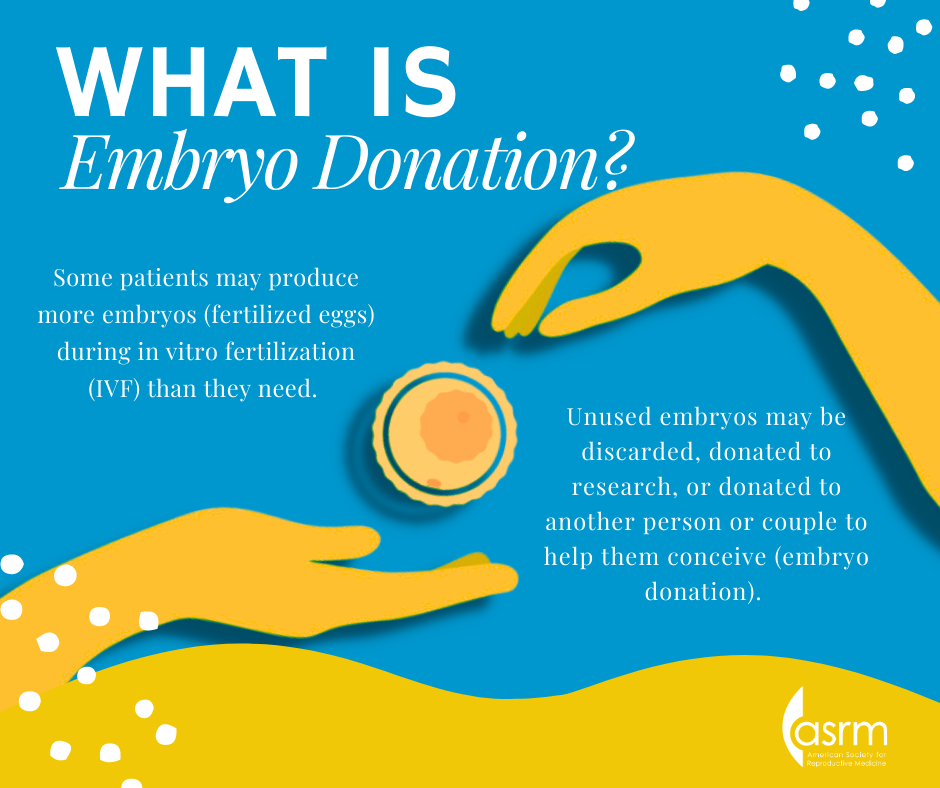 Embryo Donation patient education fact sheet | ReproductiveFacts.org