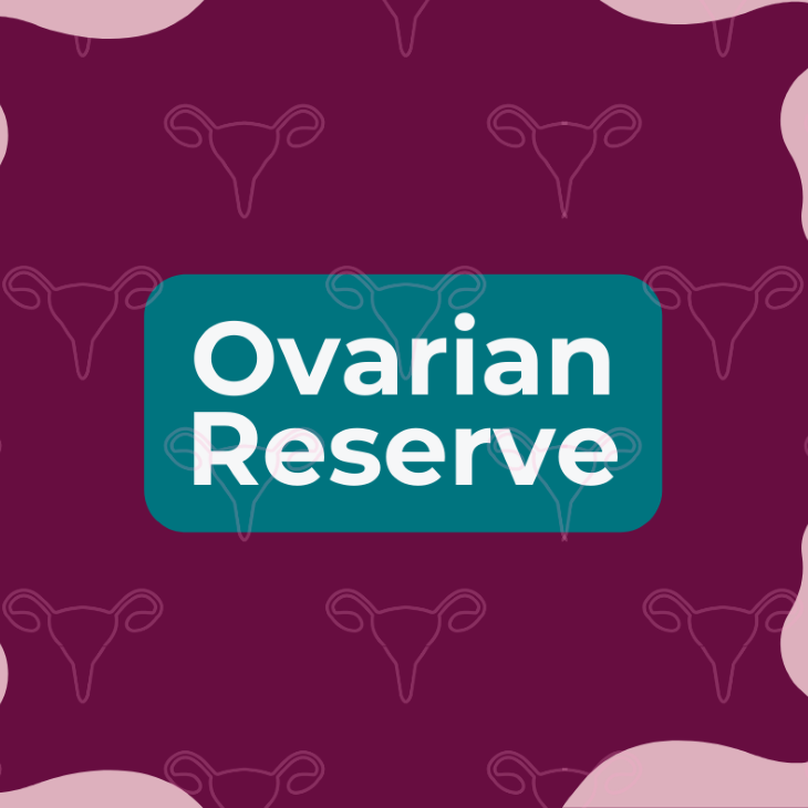 Ovarian Reserve Patient Education Fact Sheet | ReproductiveFacts.org