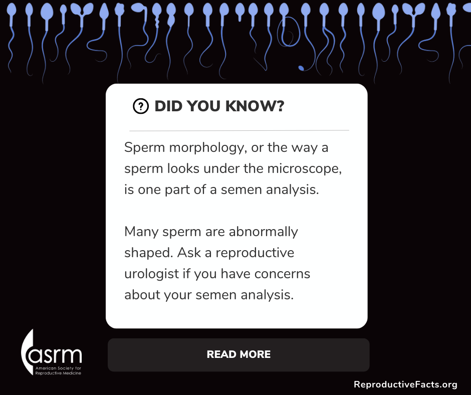 Semen Analysis Infographics | ReproductiveFacts.org